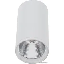 Припотолочная люстра Kinklight Фабио 08570-10,01