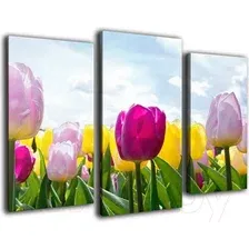 Картина модульная Arthata m-000566 (75x50)