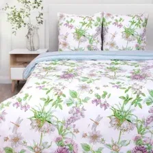 Евро комплект постельного белья Василиса Delight Евро 70x70 9878/1