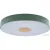 Светильник-тарелка LOFT IT Axel 10003/24 Green