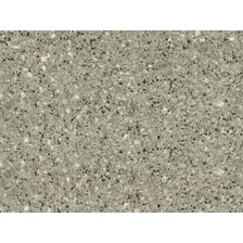 Линолеум Juteks Master Proxi-2 0887 (2.5x2.5м)