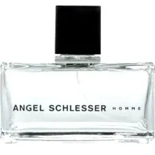 Туалетная вода Angel Schlesser Homme, мужская, 125 мл