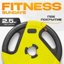 Диск Sundays IR91041 2.5 кг