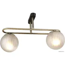 Припотолочная люстра Aitin Pro N4386/2