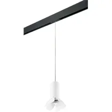 Трековый светильник Lightstar Rullo PRORP486436