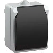 Розетка IEK Форс ERS12-K03-16-54-DC