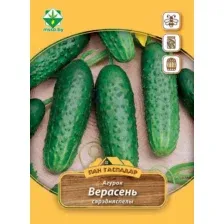 Семена МинскСортСемОвощ Огурец Верасень (3г)