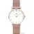 Наручные часы Cluse Minuit CW0101203001