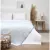 Плед Этель Home 10398556 (130x180, голубой)