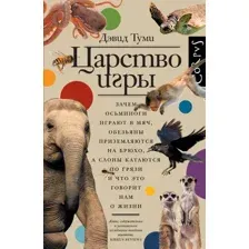 Царство игры