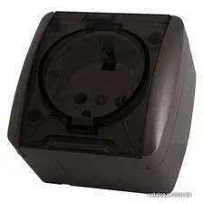 Розетка TDM Electric Селигер SQ1818-0207