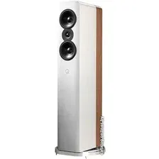 Напольная акустика Q Acoustics Concept 500 (белый/светлый дуб)