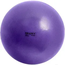Гимнастический мяч Bradex Фитбол-25 SF 0823 (фиолетовый)