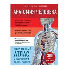 Анатомия человека. Современный атлас с подробными иллюстрациями