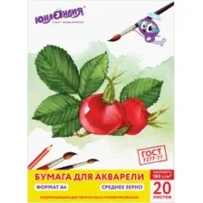 Папка для акварели ЮНЛАНДИЯ 111074