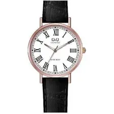 Наручные часы Q&amp;Q Q979J815