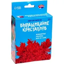 Набор для выращивания кристаллов Школа талантов Лучистые кристаллы / 5115228 (красный)