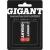 Аккумулятор Gigant ААA 1000 мАч (2 шт)