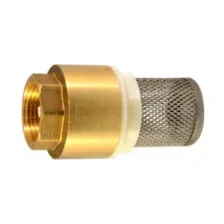 Обратный клапан с сеткой 1" AQUALINK СС02060