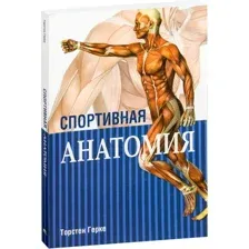 Спортивная анатомия