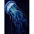 Картина по номерам Молли Красивая медуза 40x50 FHR0584