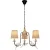 Подвесная люстра LOFT IT Birds LOFT1029A-3