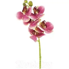 Искусственный цветок Gloria Garden Орхидея / 9180083 (бордовый)