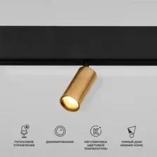Трековый светильник Elektrostandard Dim Cantors 85071/01 (латунь)