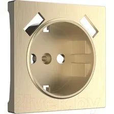 Лицевая панель Werkel W1179510 / a051422 (шампань рифленый)