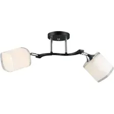 Спот Aitin Pro НПБ 02-2x60-101 N6108/2 (черный/хром)