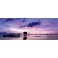 Картина Stamprint Пирс NR012 (30x80)