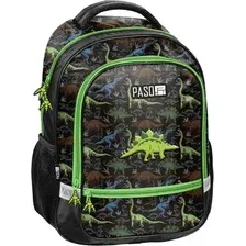Школьный рюкзак Paso PP26DR-260