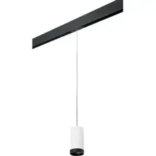 Трековый светильник Lightstar Rullo PRORP4363437