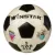 Футбольный мяч Winstar WN11009