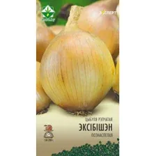 Лук Эксибишен 75шт (Эксперт) (семена)