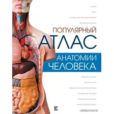 Учебное пособие издательства АСТ. Популярный атлас анатомии человека