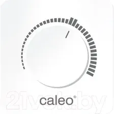 Терморегулятор CALEO С450
