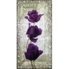 Картина Декарт 8Л0009 (в раме)