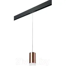 Трековый светильник Lightstar Rullo PRORP430430