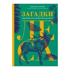 Загадки леса
