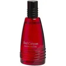 Туалетная вода Real Time Red Canyon Men (100мл)