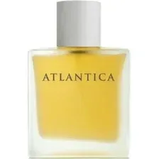 Туалетная вода Dilis Atlantica Taboo (100мл)