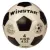 Футбольный мяч Winstar WN11010