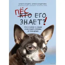 Пёс его знает! Что в голове у собаки, и как понять причины её поведения