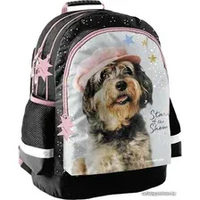 Школьный рюкзак Paso Pies Star RLF-116