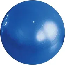 Фитбол гладкий ZEZ Sport FB-75