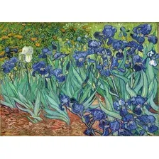 Картина Stamprint Ирисы В. ван Гог PT007 (50x70)