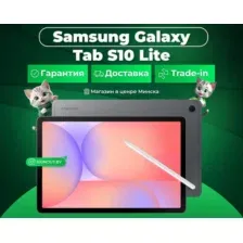 Планшет Samsung Galaxy Tab S10 Lite WiFi 6GB/128GB / SM-X400NZAACAU (серый)