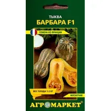 Тыква Барбара F1 (5 шт)