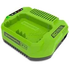 Зарядное устройство 60В GREENWORKS G60C 60В